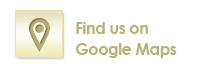 map google icon